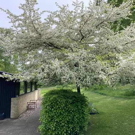 Дом отдыха Nostalgic 1960s Idyll *