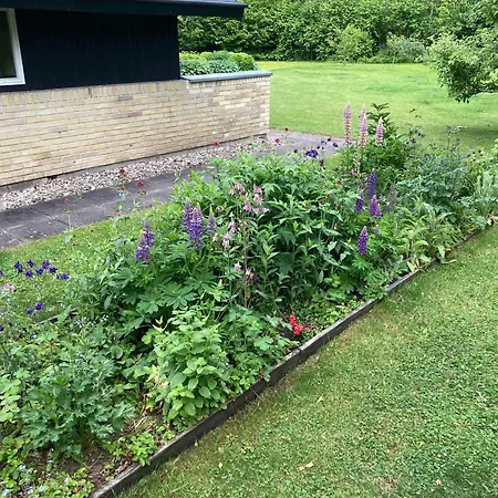 Дом отдыха Nostalgic 1960s Idyll *