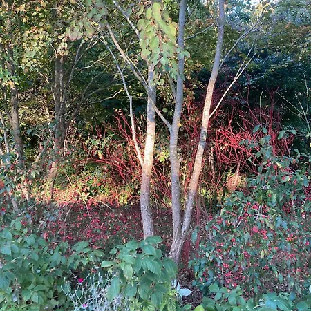 Holiday home Nostalgic 1960s Idyll