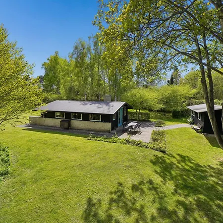 Nostalgic 1960s Idyll *