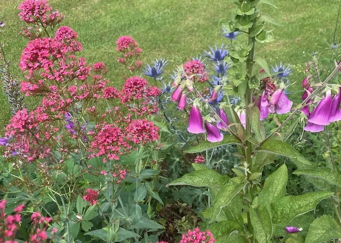 Nostalgic 1960s Idyll Kulhuse