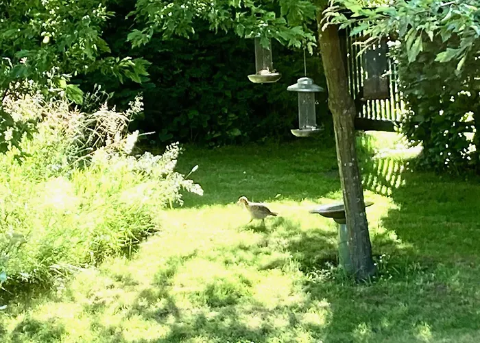 Nostalgic 1960s Idyll *