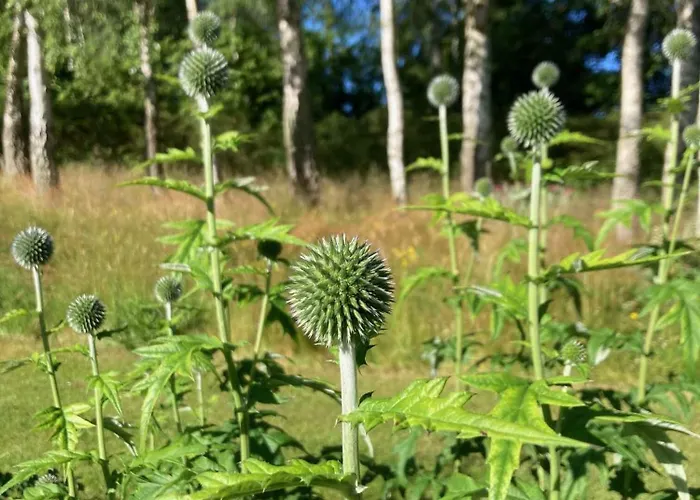 Дом отдыха Nostalgic 1960s Idyll *