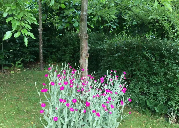 Nostalgic 1960s Idyll