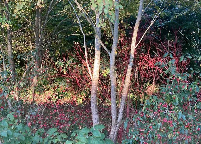 Дом отдыха Nostalgic 1960s Idyll